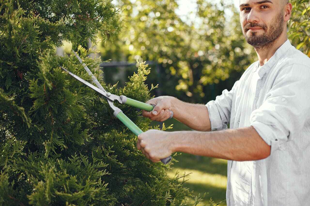  Volga, SD TreeGuard Tree Service Pros